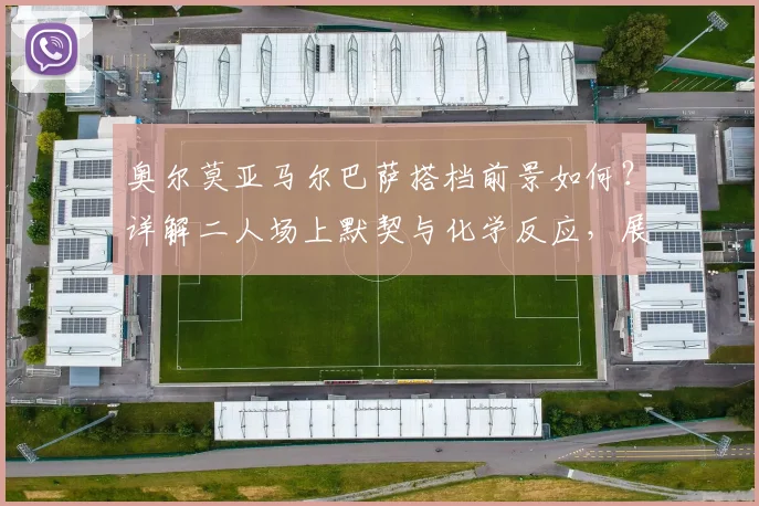 奥尔莫亚马尔巴萨搭档前景如何？详解二人场上默契与化学反应，展望2026世界杯共同目标
