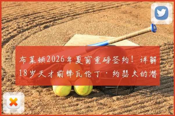 布莱顿2026年夏窗重磅签约！详解18岁天才前锋瓦伦丁·约瑟夫的潜力与未来前景